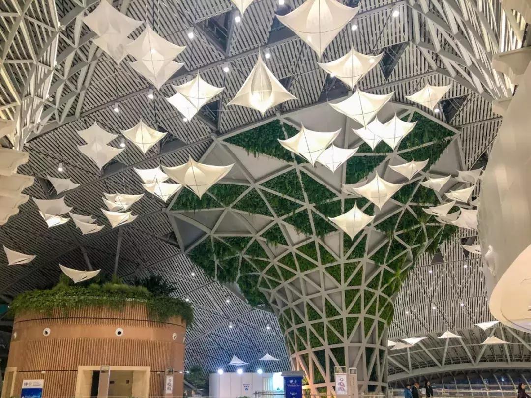 上海建工国家会展中心,上海建工公司会议