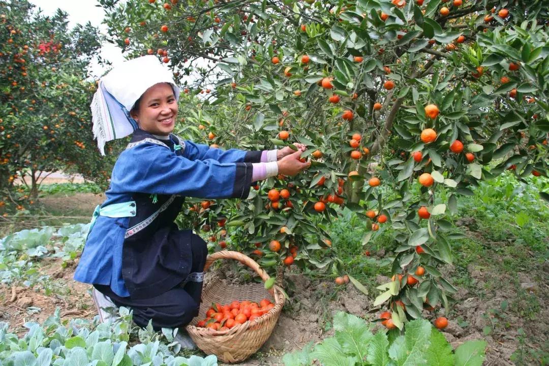 全国最宝藏的省,中国宝藏最多的省份