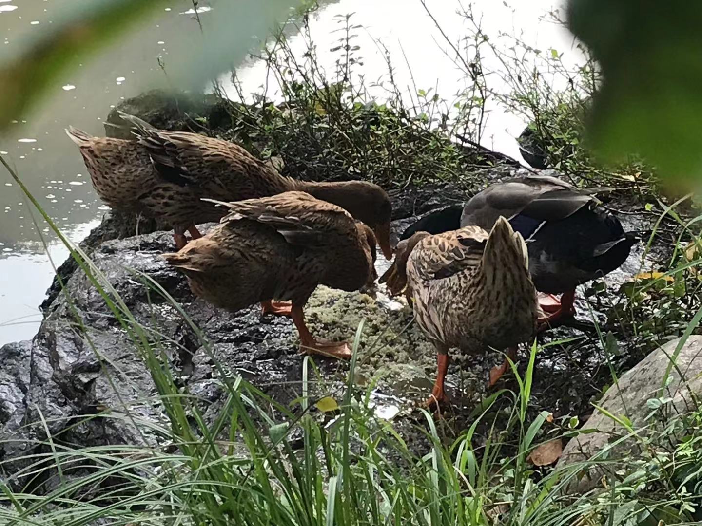 缙云小众吃饭地点有哪些,缙云美食攻略