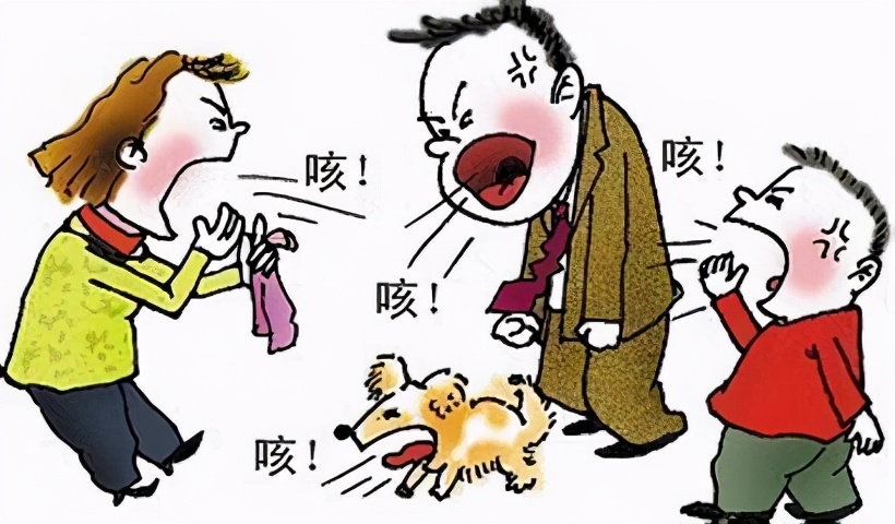 支气管炎哮喘突然发作怎么办,突然哮喘发作的原因