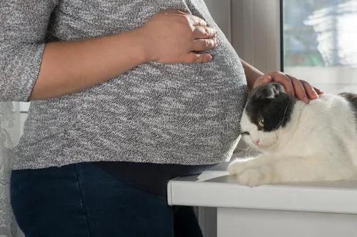 怀孕32周胎动频繁是不是胎儿缺氧,胎动多少算过于频繁胎儿缺氧