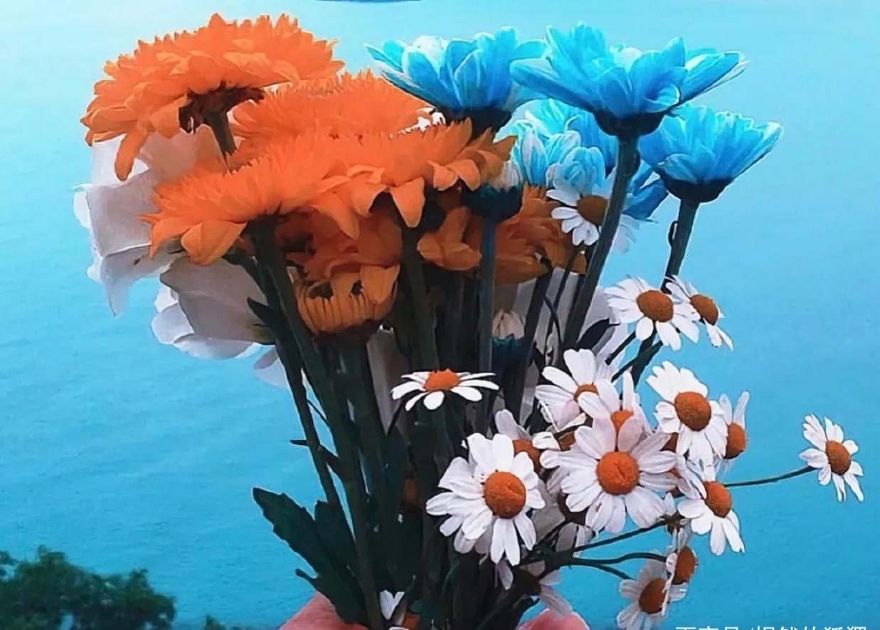 爱你的人会投其所好,表达一个人爱你爱到竭尽所能