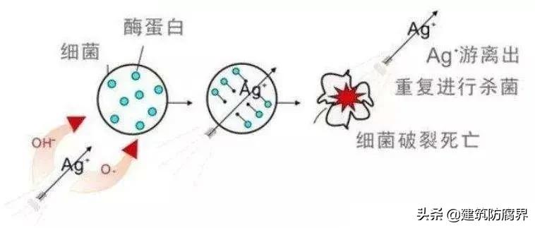 抗菌涂料是什么,抗菌油漆什么意思