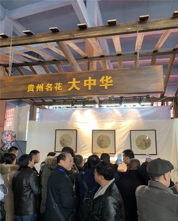 贵州桐梓县春兰,桐梓县产出的最美的兰花