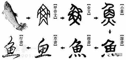 有趣的汉字,羊字旁的汉字