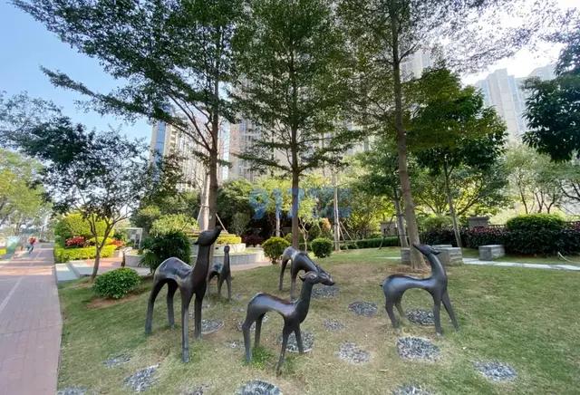 厦门海沧天源开盘价,海沧天源小区的房价是多少