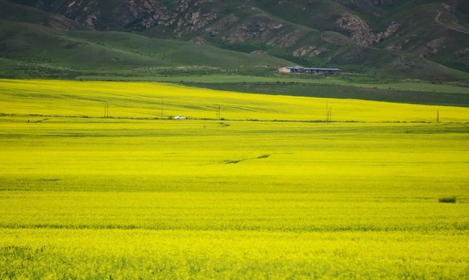 你永远不会体会到*疆新**公路的风情万种,除非你亲自自驾到那里!