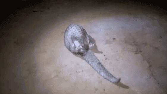 只为一串佛珠,他活剥了我妈的皮:人心有多可怕,你根本想象不到