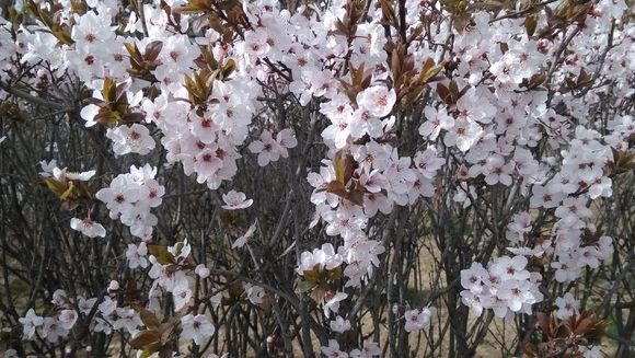 虽是旧回忆,可做新记录(一)——从2014年说起