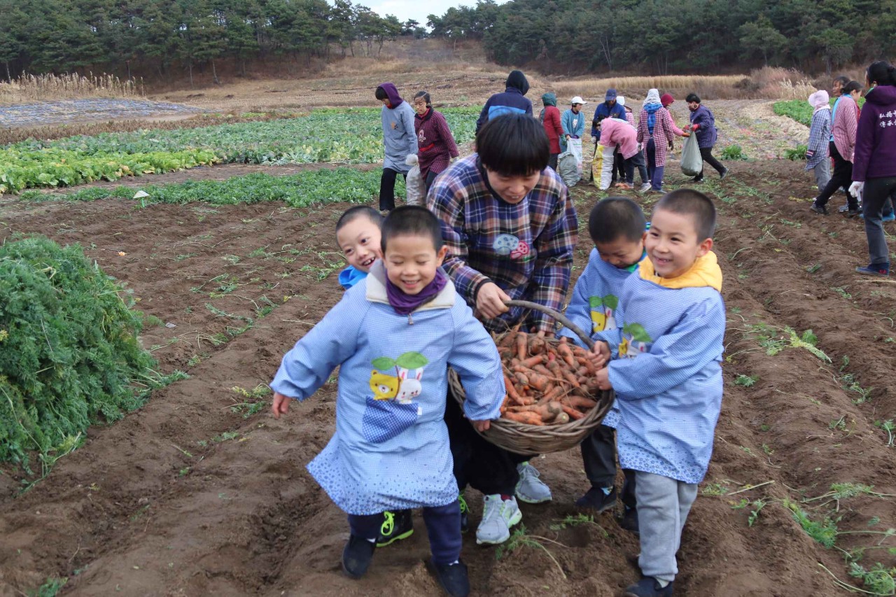 中华成语大全带注释,出口成章成语大全
