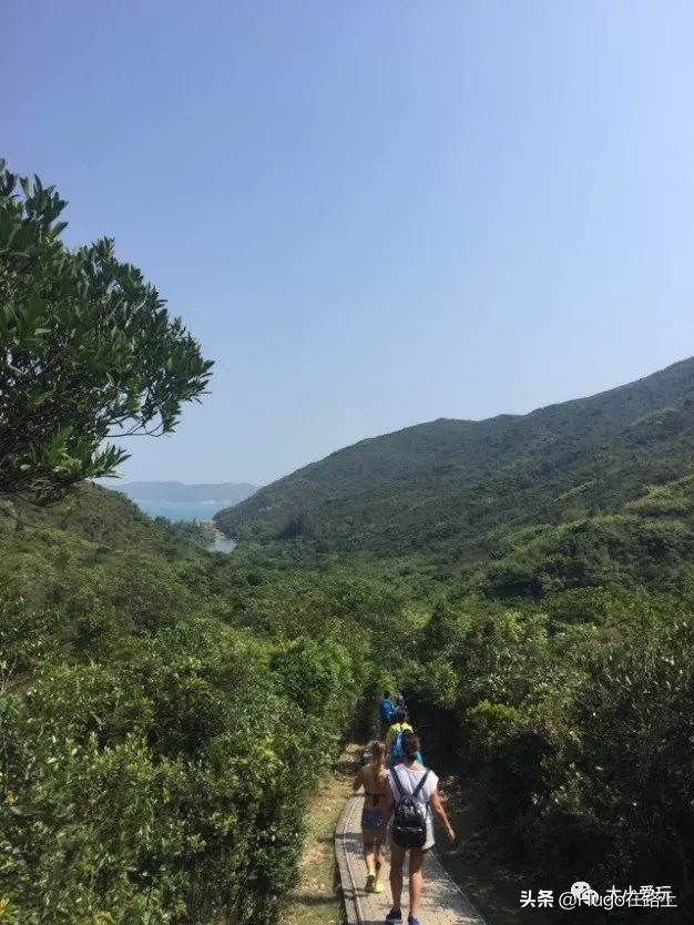 去香港亲子旅行攻略路线图片,香港亲子游最佳路线图