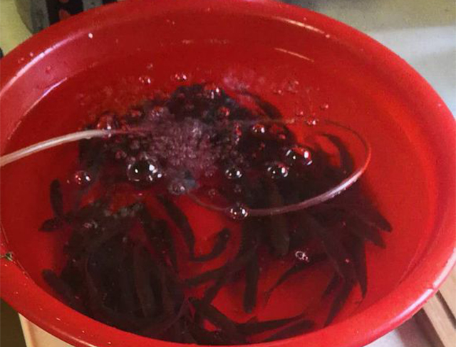 钓鲫鱼老是跑鱼是怎么回事,冬季钓鲫鱼总是遛了一会儿跑了