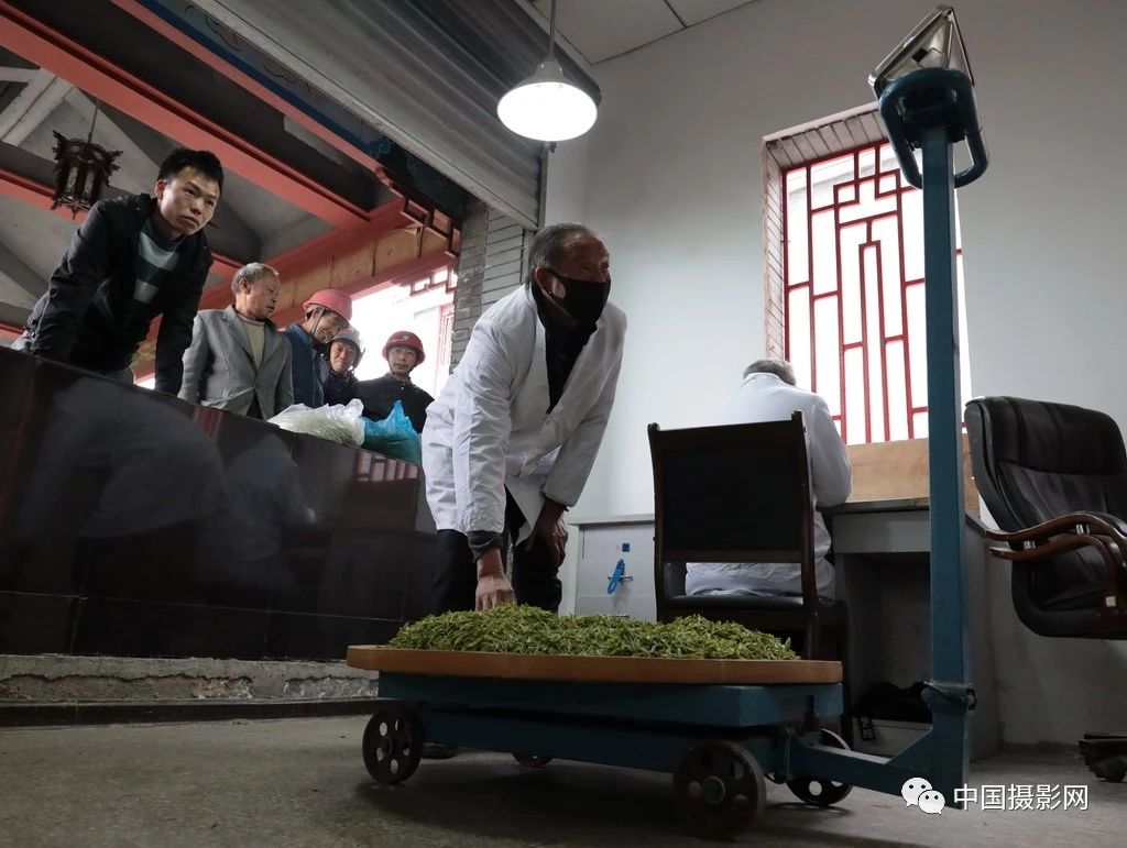 李亚隆：宜昌“转码”75天