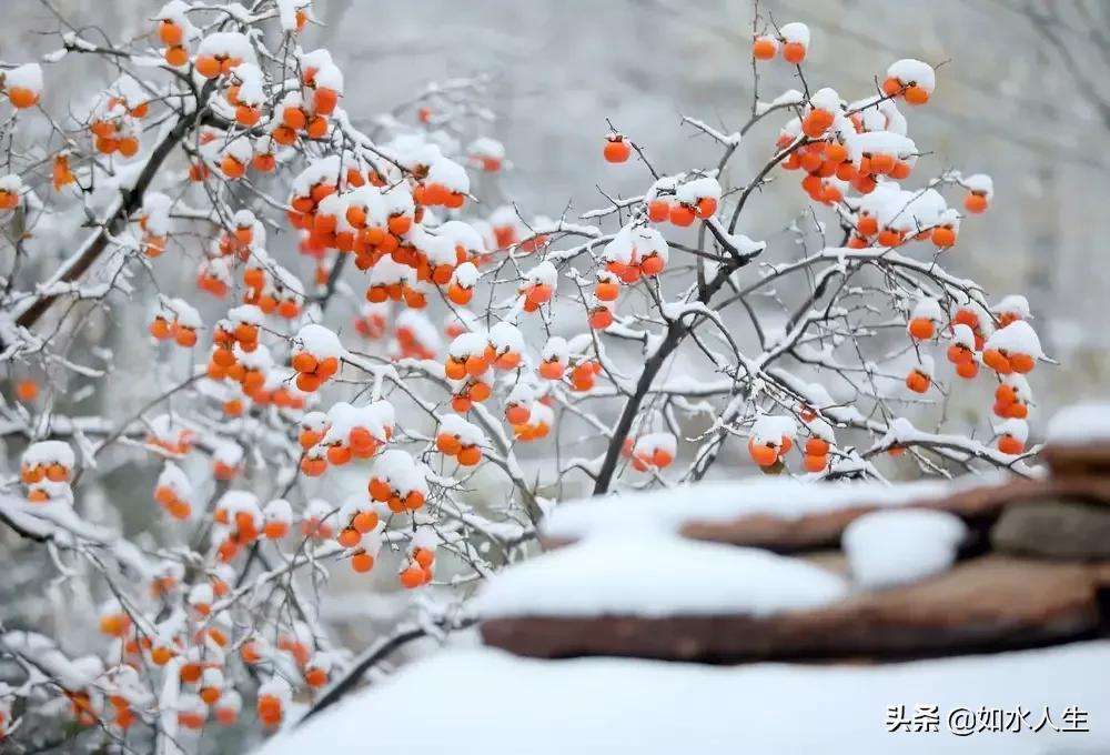 北方的冬天,北方的冬天温暖