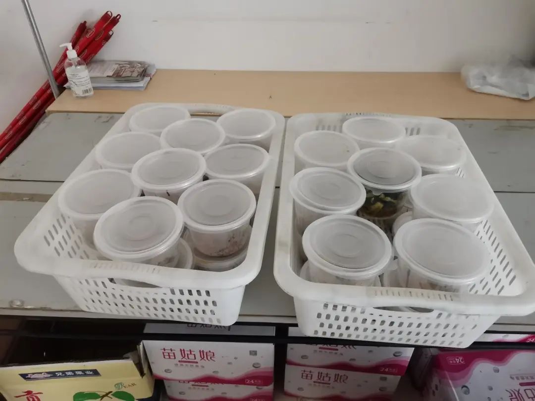 南沙｜隔着口罩贴着心，素未谋面情相依！珠江街织就关爱入境集中医学观察人员暖心网