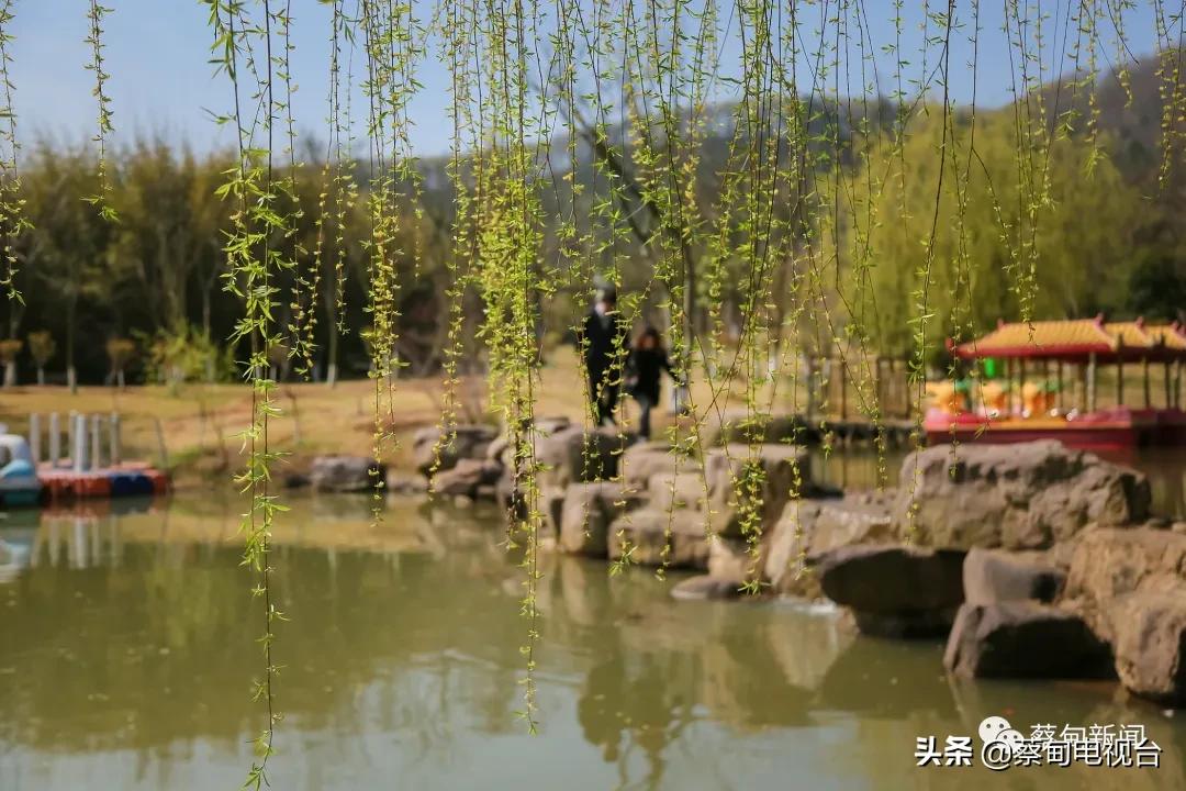 桃之夭夭!来武汉蔡甸世外桃源,许你万株桃花