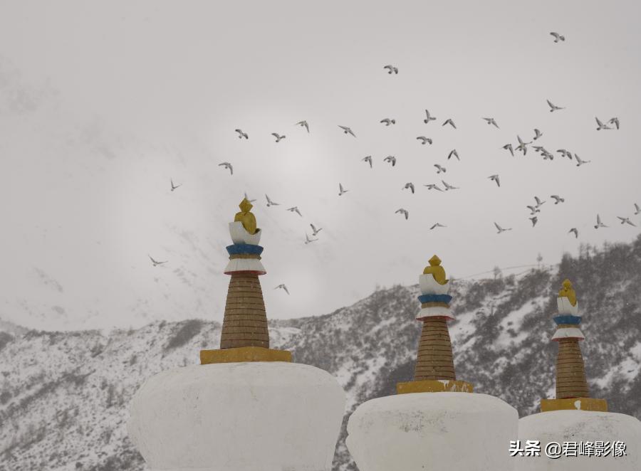 旅拍人像技巧,旅拍简单技巧