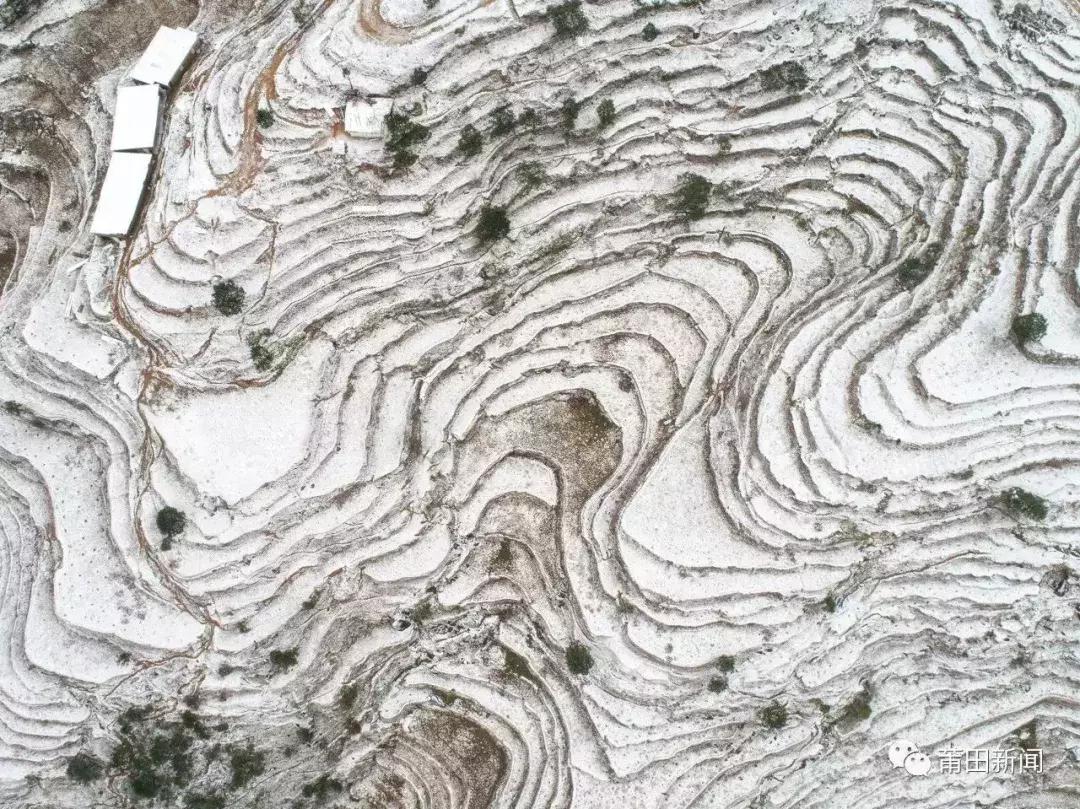 不只做红木、开金店!莆田人还会“滚雪球”?