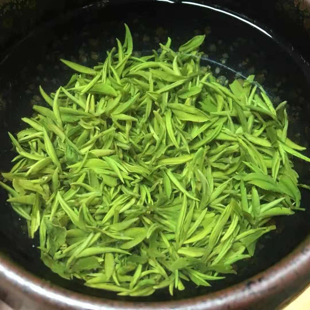 信阳毛尖深度好文——一个资深茶客谈论信阳毛尖内幕