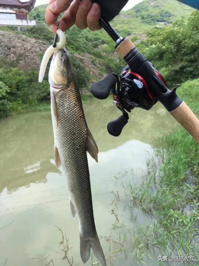 路亚翘嘴必备饵,路亚新手必备三个忠告