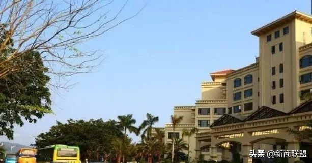 揭秘*疆新**马兰