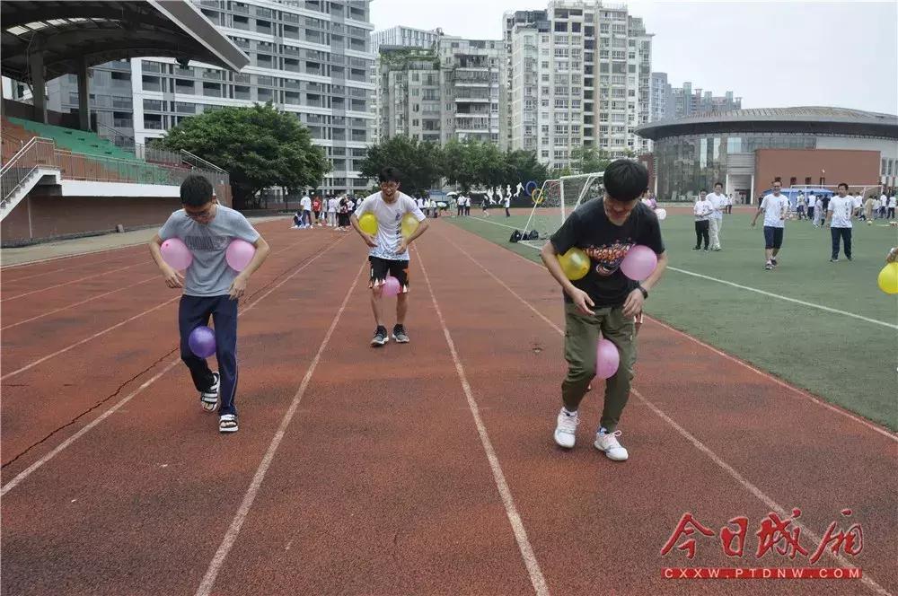 文体教育活动,文体教育系列活动