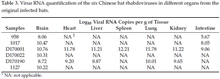 鐭虫涓界爺绌惰潤铦犵梾鍘熶綋,铦欒潬鐥呮瘨鏍锋湰璇曢獙