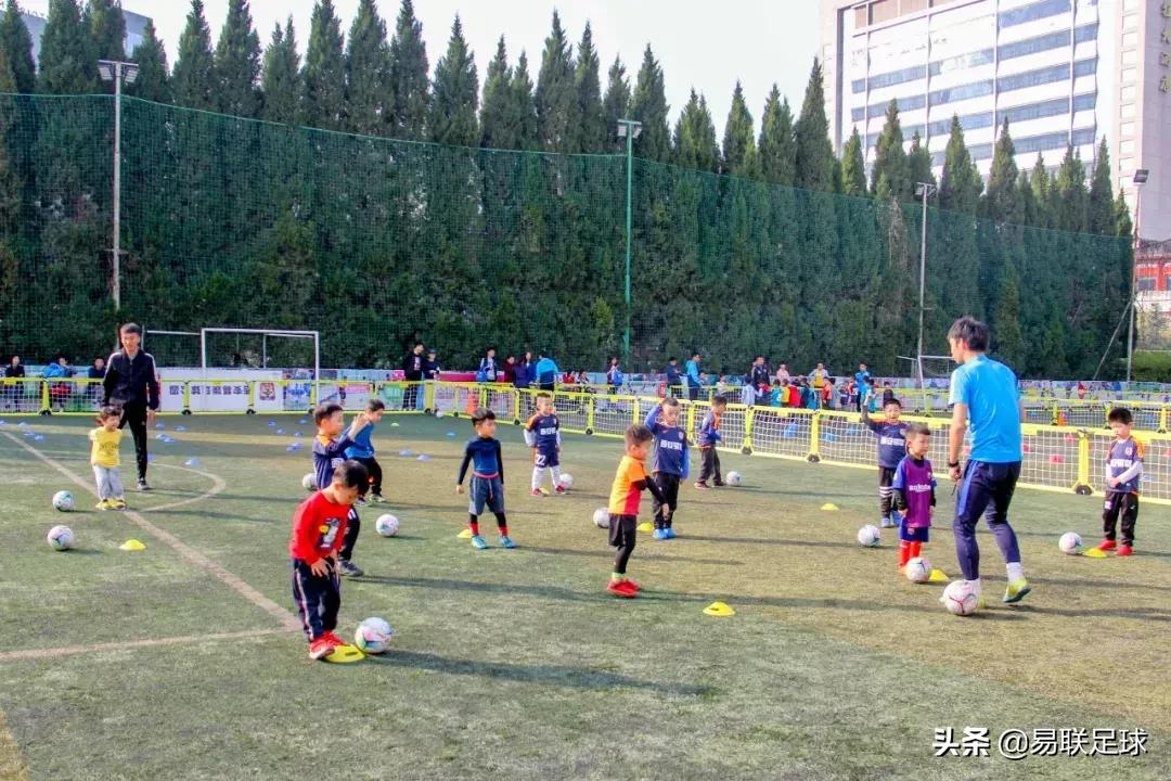 踢足球作文,如果可以不上学作文250字