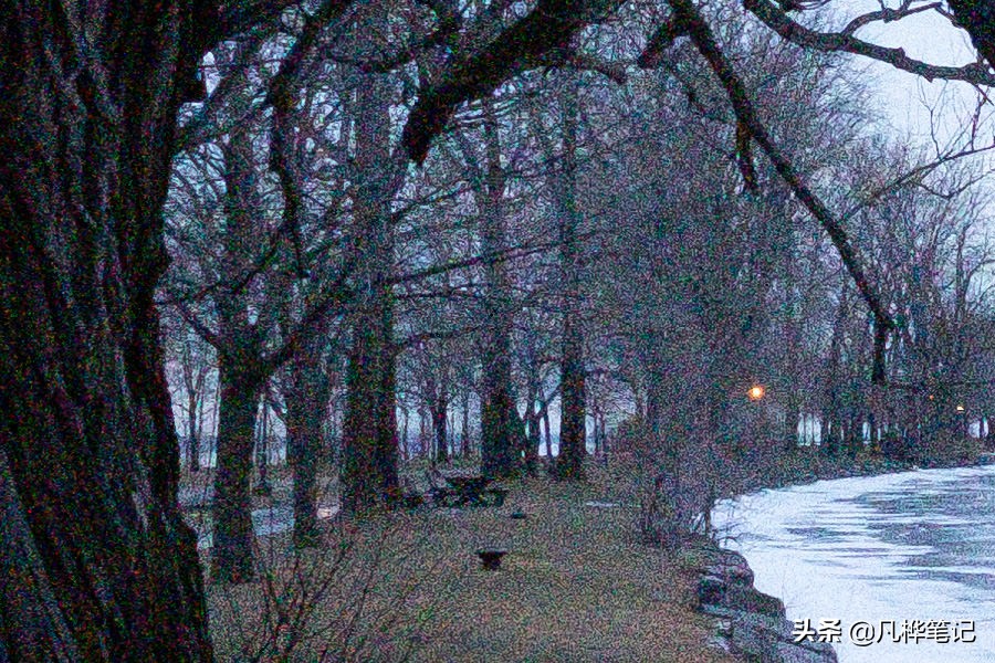 照片有白点咋修复,照片怎么变得有轻微颗粒感