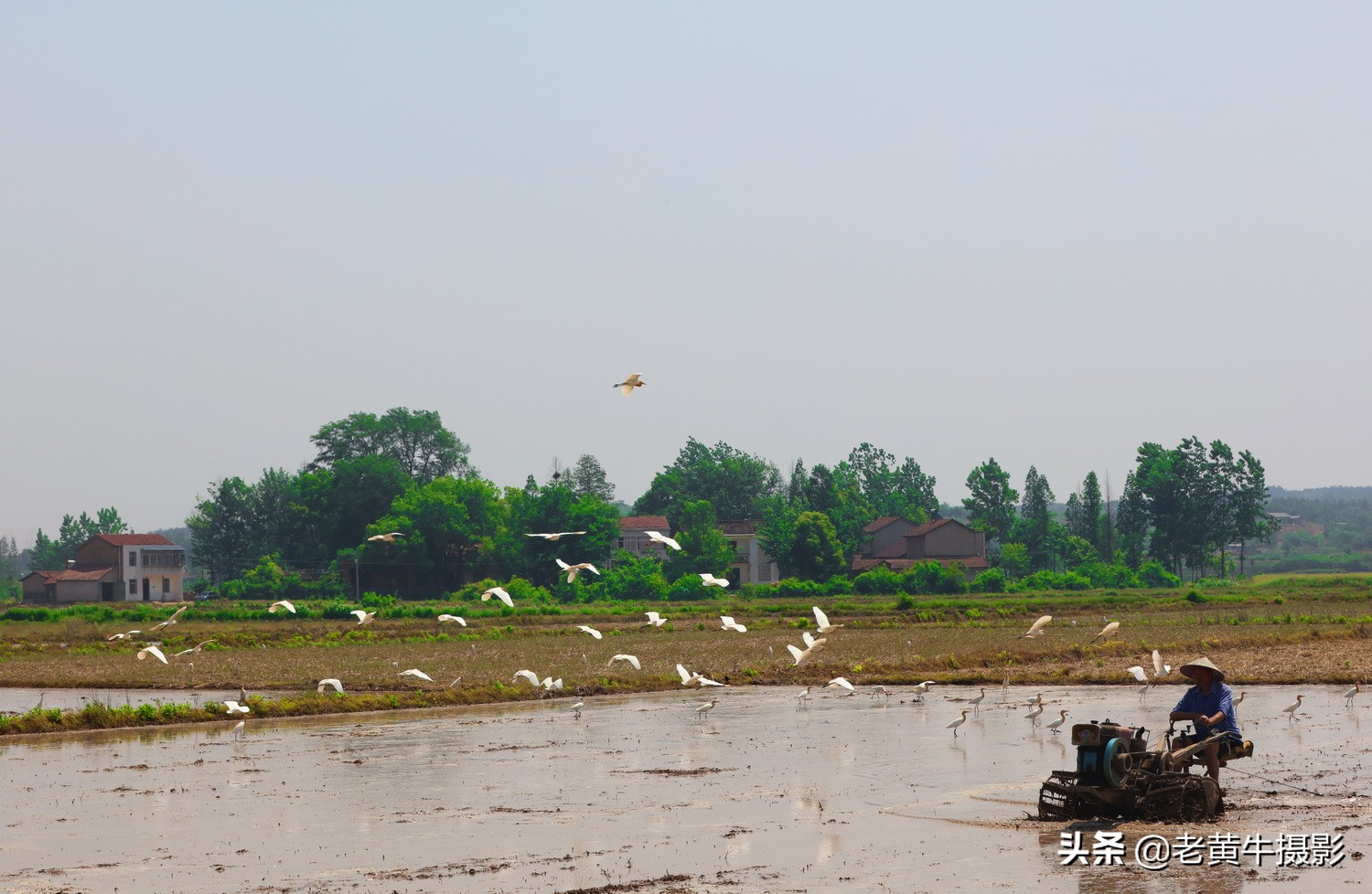 湖北京山摄影,京山摄影作品