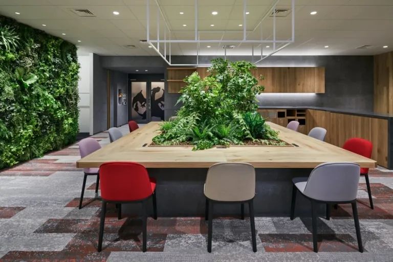 剑盾上市,剑盾全新