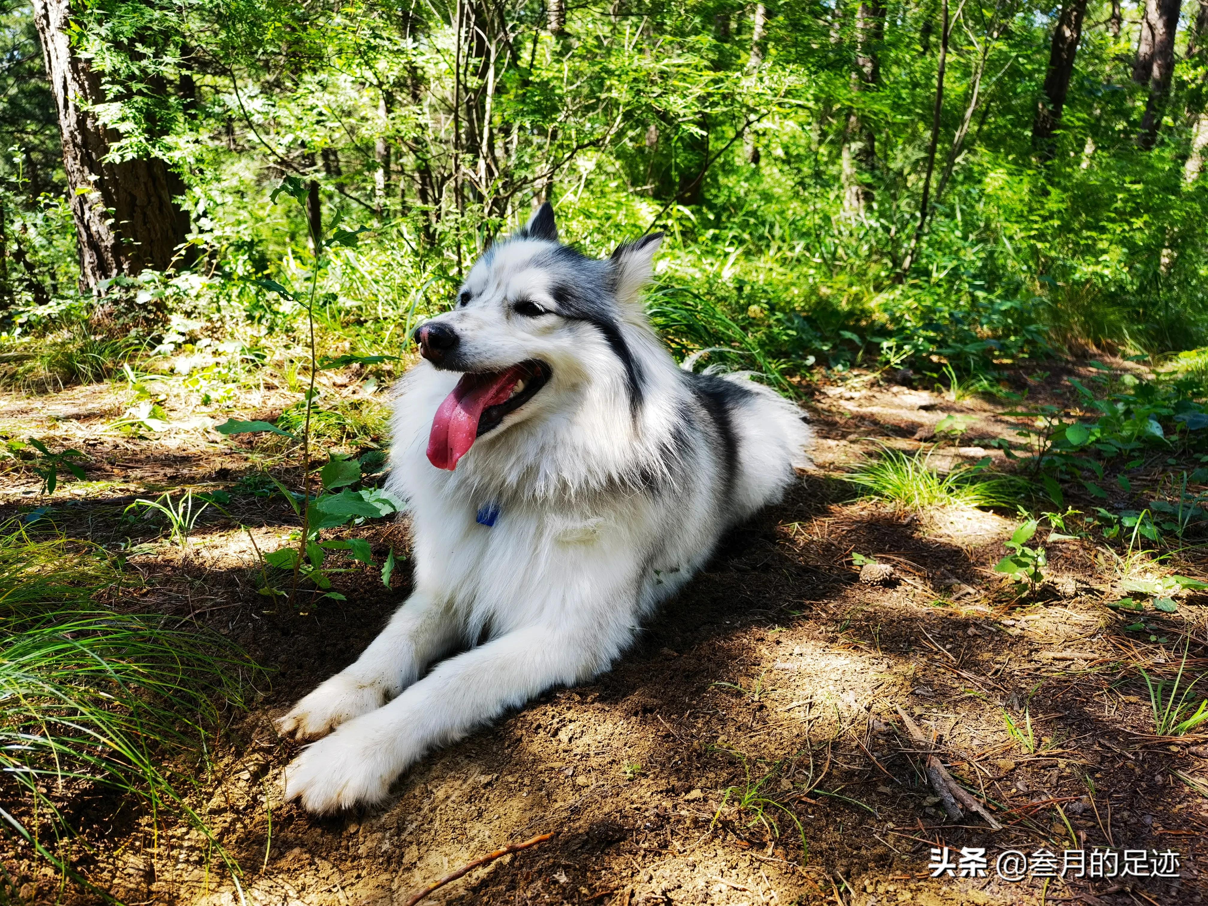 北京房山风景优美的旅游地,北京房山附近风景好的地方