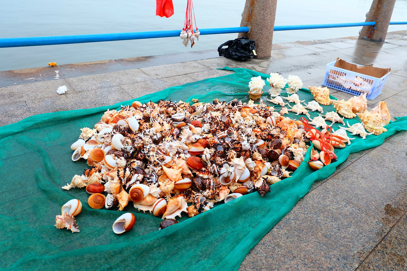 骆驼青岛,骆驼旅行在路上