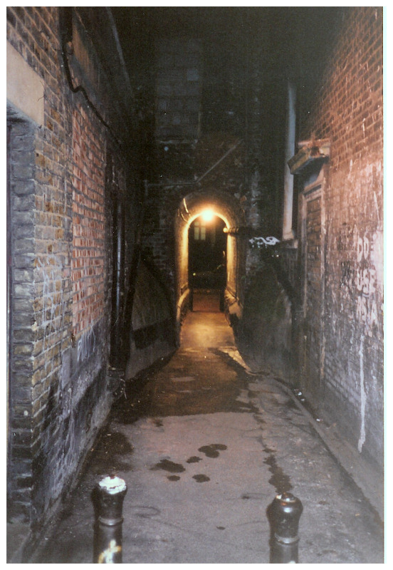 五名*女妓**连续遭到杀害至今未知凶手是谁（二）