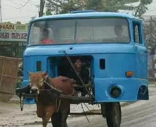 为什么印度是神奇的国度,为啥印度是个神奇国度啊