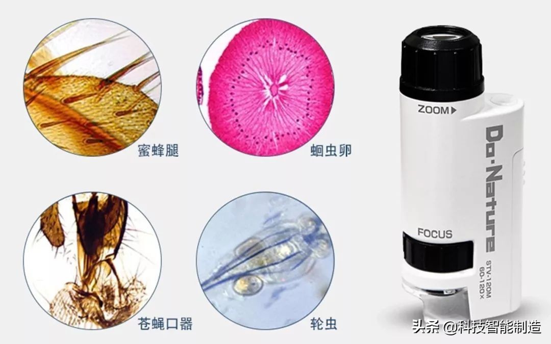 显微镜的价格最便宜的,日本口袋放大120倍显微镜