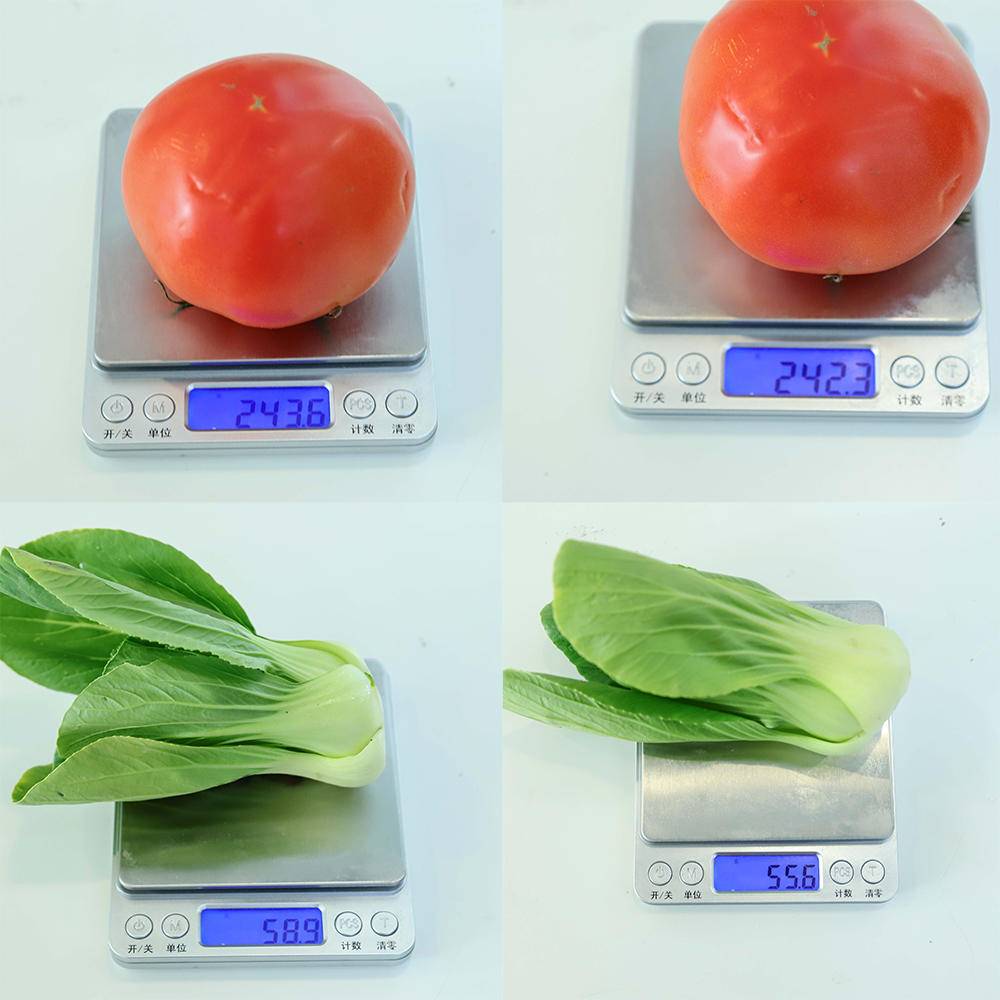 西门子超薄超宽冰箱推荐,西门子双开门冰箱新款超薄