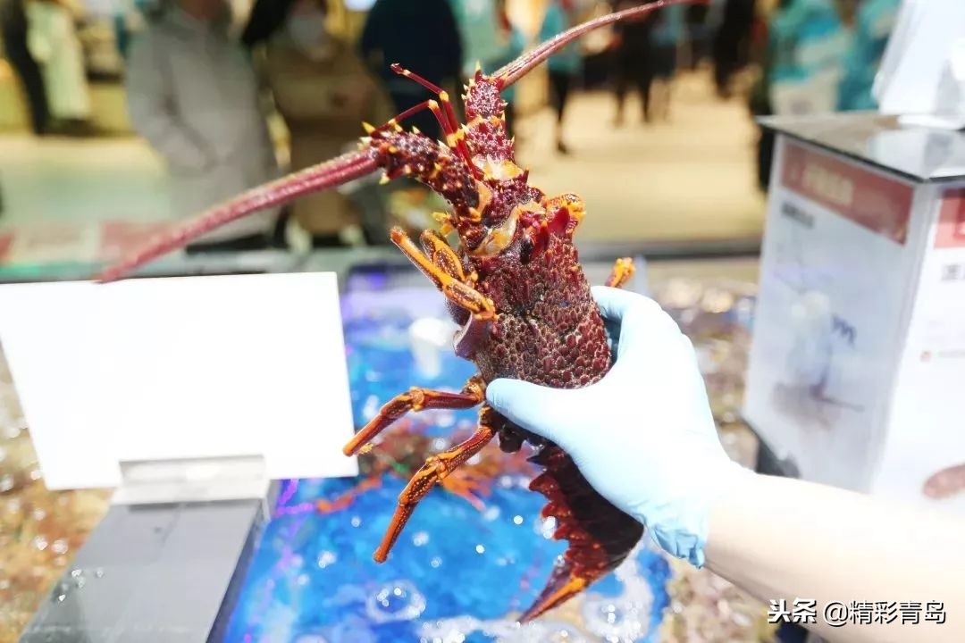 青岛盒马鲜生卓越皇后道店,青岛跑盒马鲜生怎么样