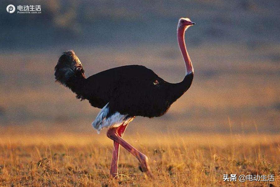 江西上饶爱驰汽车厂待遇怎么样,上饶爱驰汽车最新信息