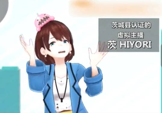 日本茨城县最穷的市,日本茨城几个县