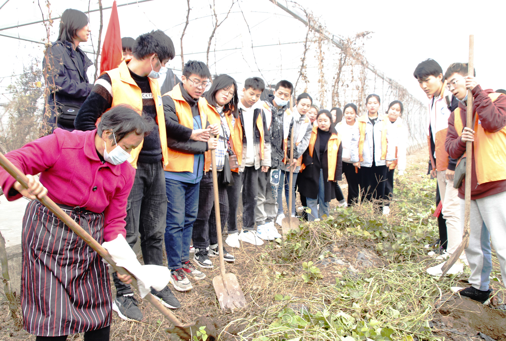 美好食光五年级劳动实践活动,西安职业技术学院职业教育活动周