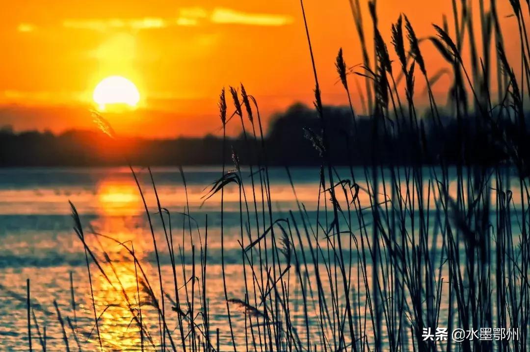 诗经邶风最著名的十首诗,诗经豳风七月第五章朗读