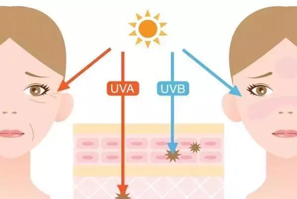 夏天晒黑了冬天还能白回去吗,夏天晒黑了到冬天能变白吗