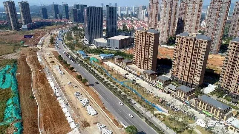 仙林市最新通车消息,仙林东路最新消息