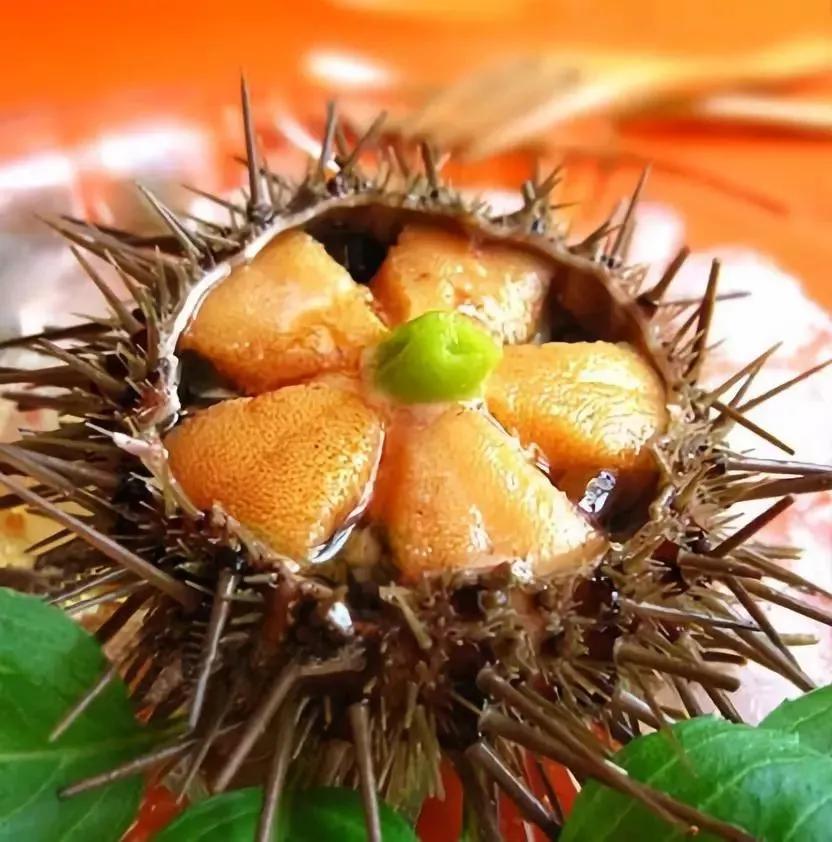 你好,我叫珠海,请收下我2021版新名片,带你了解新的珠海!