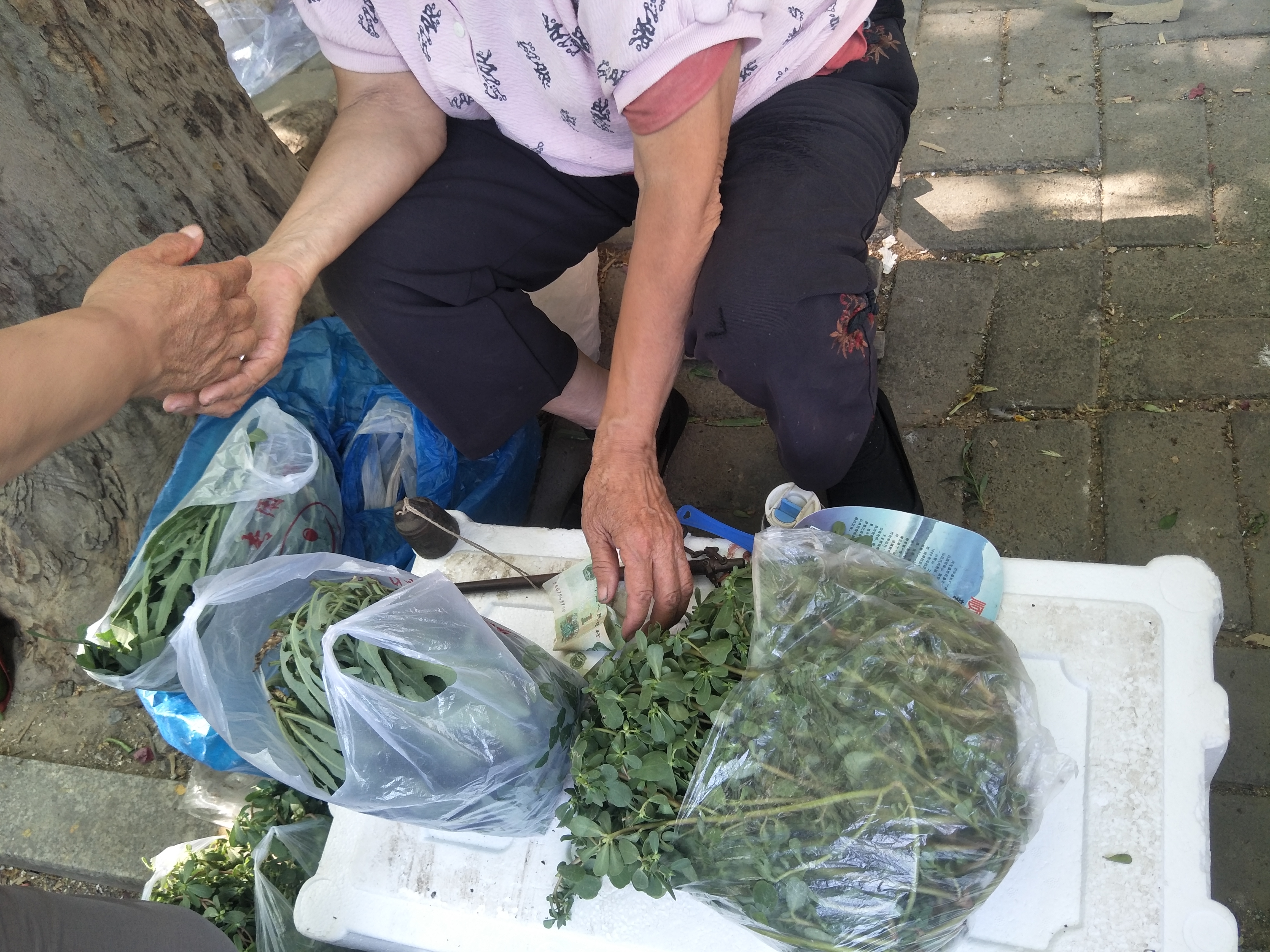 7旬老人卖野菜2元一斤,大妈野菜被贩子卖2元