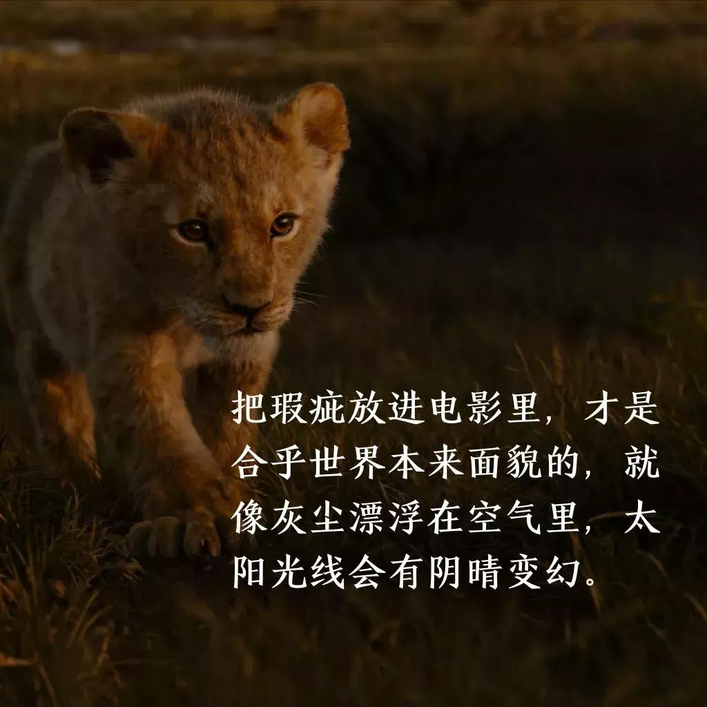 迪士尼狮子王,狮子王是迪士尼还是梦工厂