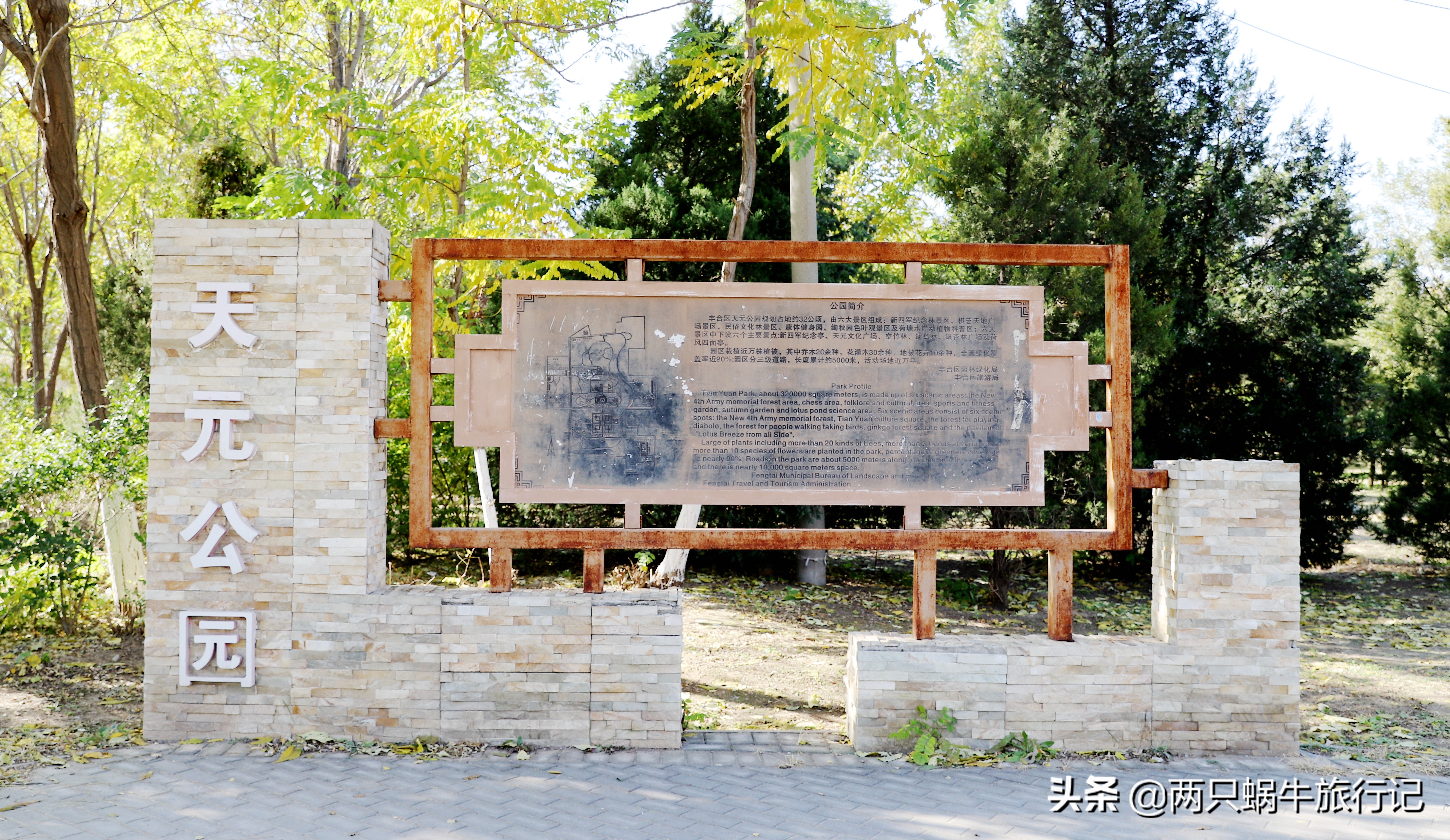 秋天落叶自然的调色盘,调色盘秋天