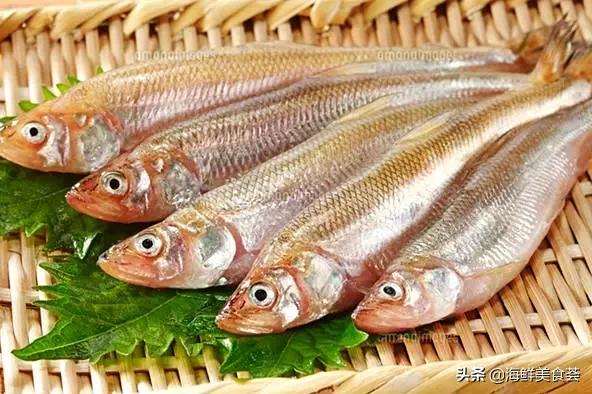 适合用来烧烤的海鱼,适合烧烤的海鱼品种