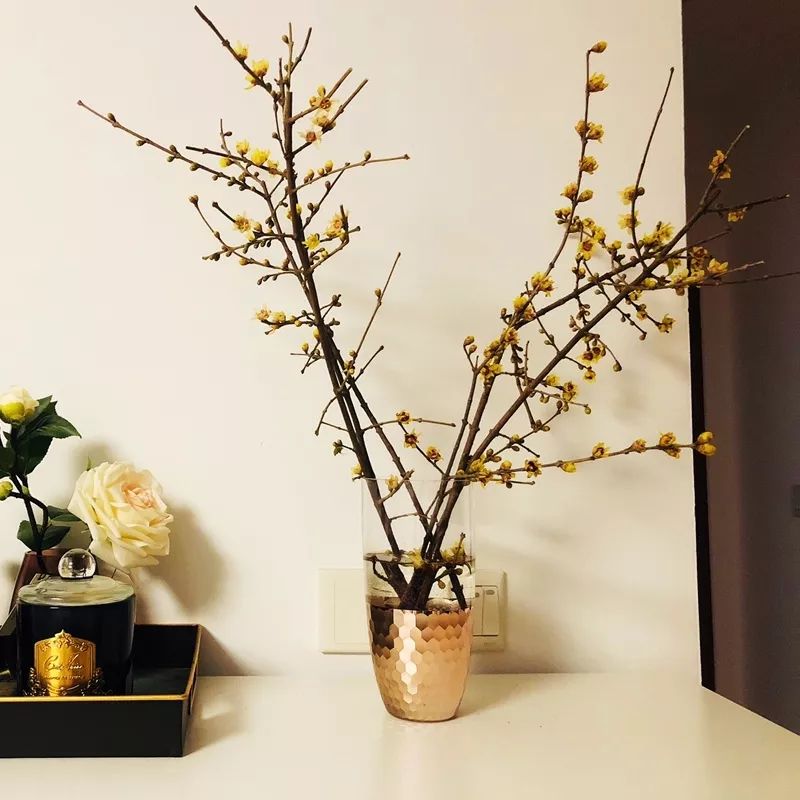 过年家里必摆的九道菜,过年家里摆的喜庆的物件